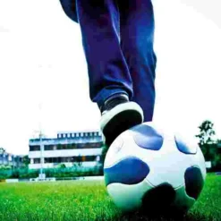 Theeggball "Classic" -Sports Series 107 8741 2