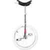 OnlyOne "Indoor" Unicycle