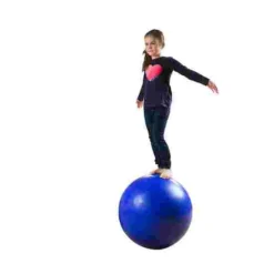 Balance Ball -Sports Series 132 5951 1