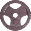 Sport-Thieme Competition Cast Iron Weight Disc