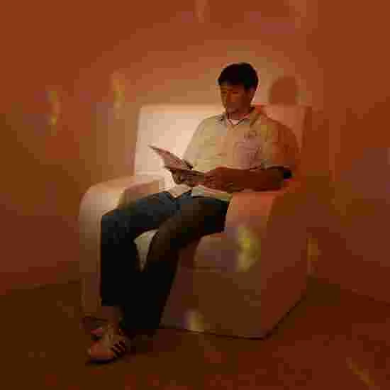 Sport-Thieme Convertible Sofa 14 Sport-Thieme Convertible Sofa - Image 14