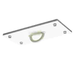 Sport-Thieme Ceiling Mount With D-Ring