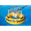 Water Basketball Basket With Ring