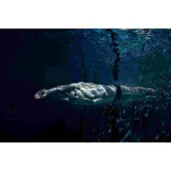 Ameo Powerbreather Snorkel -Sports Series 249 1400 4