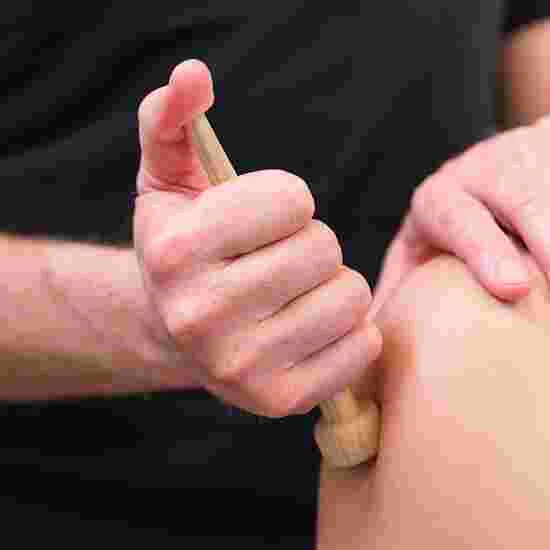 Trigger Master "Mini" 1 Trigger Master "Mini"