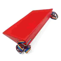 Enste Physioform Reha Accessories For The Uniflex Bowl Chair