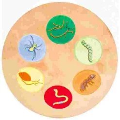 Beleduc "Oscar" The Hedgehog 17 Beleduc "Oscar" The Hedgehog -Sports Series 275 8709 8