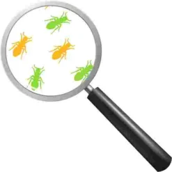 Beleduc "Illusion Wheel" Wall-Mounted Spinner -Sports Series 280 9609 1