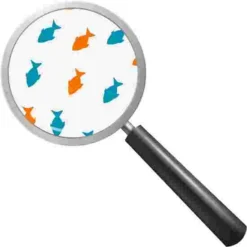 Beleduc "Illusion Wheel" Wall-Mounted Spinner -Sports Series 280 9612 1