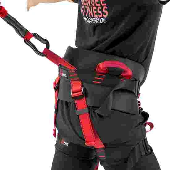 4D Pro Bungee Dance Harness 1 4D Pro Bungee Dance Harness