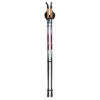 Sport-Thieme "Move" Nordic Walking Poles