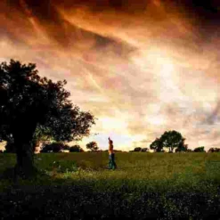 Gibbon "Treewear" Surfer Line -Sports Series 307 6402 15