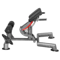 Sport-Thieme "OV" Back Extension Bench