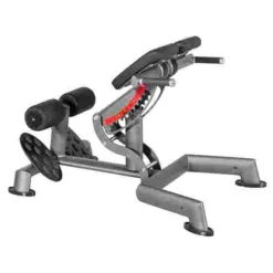 Sport-Thieme "OV" Back Extension Bench -Sports Series 307 8903