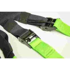 Schildkröt "Switch"