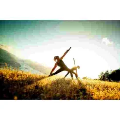 Stick Mobility Exercise Stick -Sports Series 316 7801 7